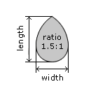 Pear Cut Ratio Pear Cut Ratio